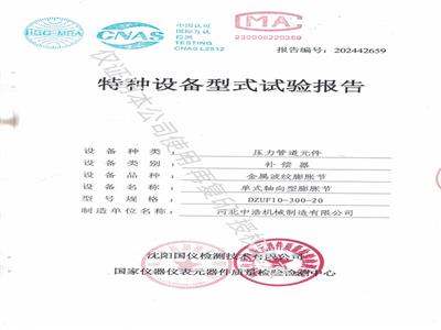 特种设备型式试验报告